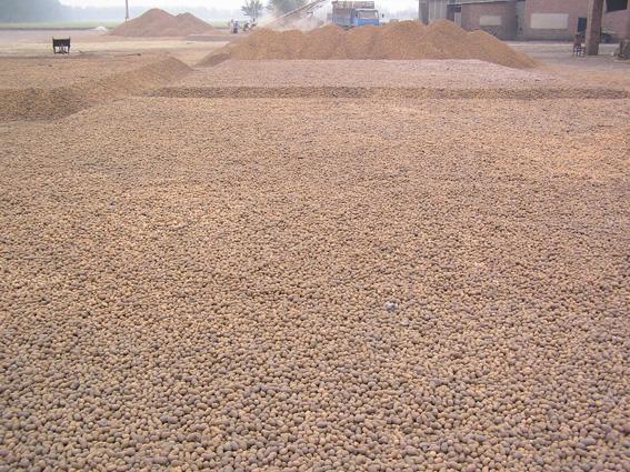 陶?；炷羅co土木在線