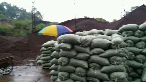 韶關市陶粒批發(fā)廠