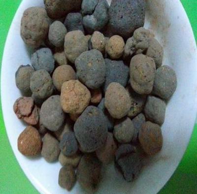 養(yǎng)殖君子蘭、酒瓶蘭,土壤埋點(diǎn)&ldquo;它&rdquo;,根系和葉片蹭蹭長(zhǎng)