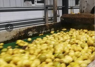 春季開工背景下 馬鈴薯淀粉與工程陶粒價(jià)格走勢分析